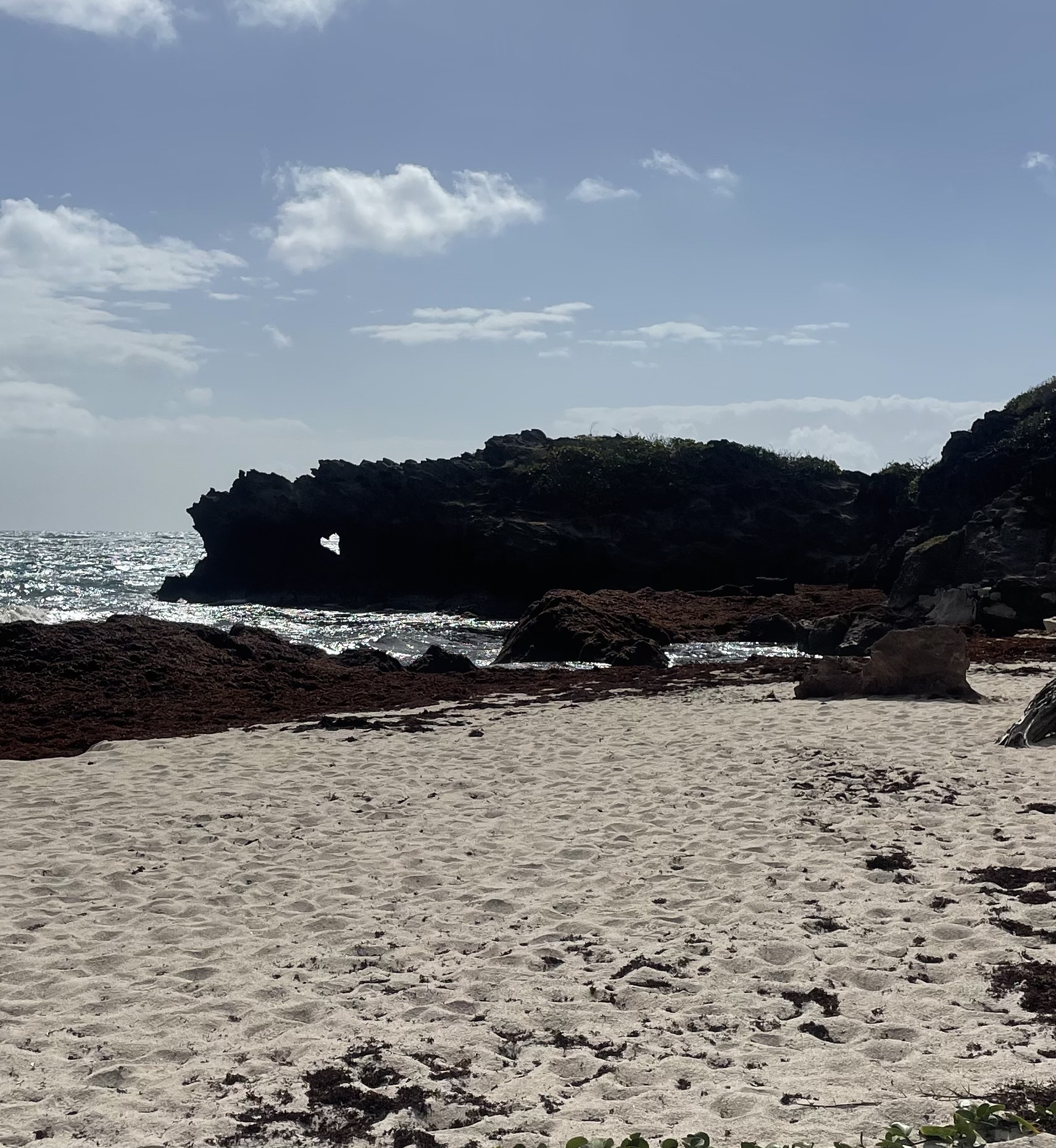 randonnée à Anse Grosse Roche en Martinque